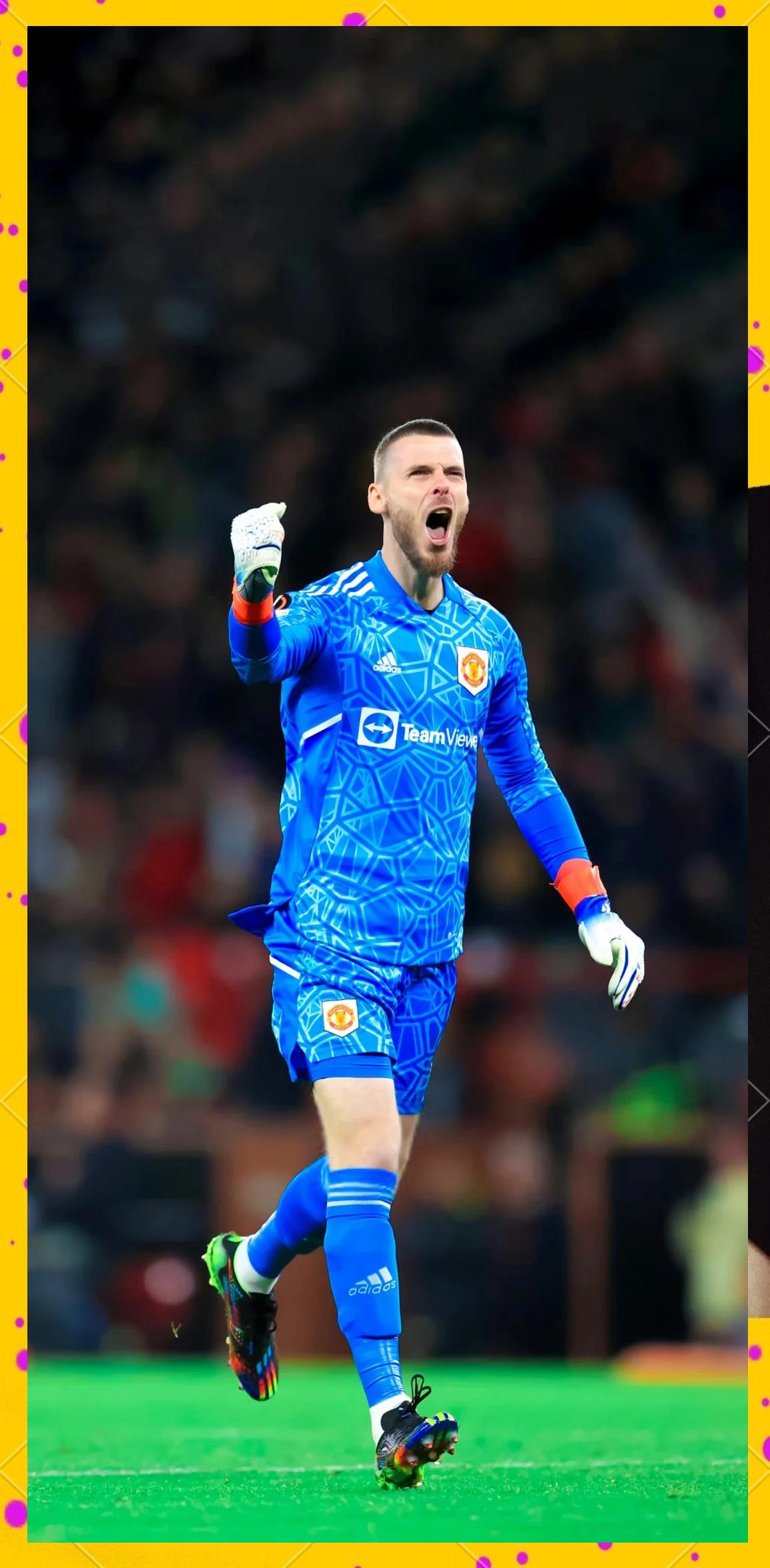 佛罗伦萨门将突发伤病，球队面临严峻考验的简单介绍